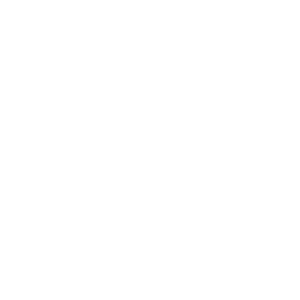 logo white